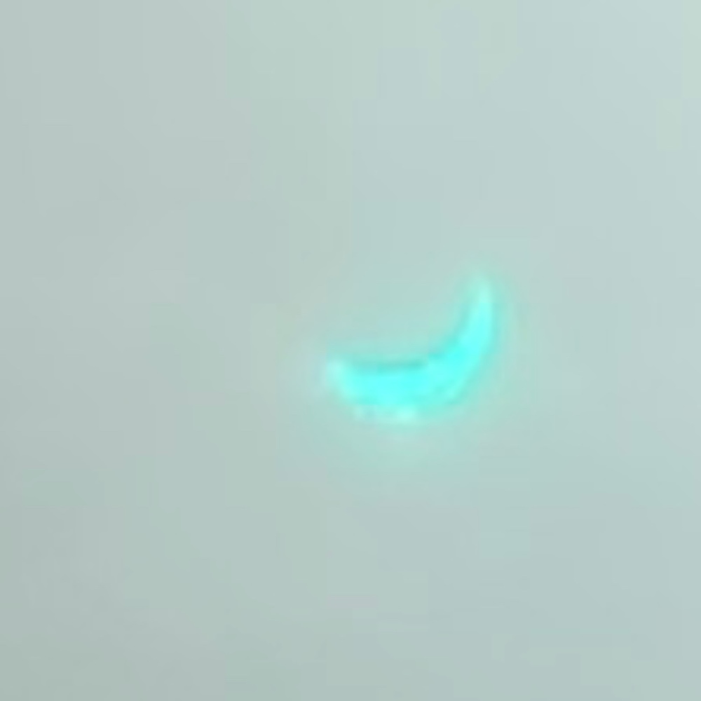 Meet your Posher, Nasi